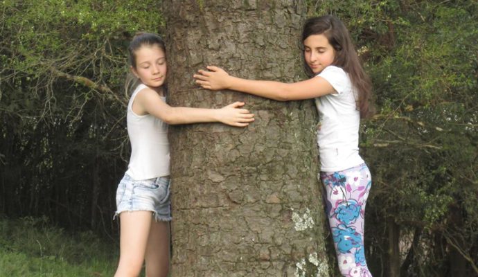Alunas de Constantina idealizam o  Projeto Árvores da Minha Vida