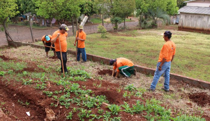 Ação Comunitária e ICP iniciam projeto de recuperação de área verde