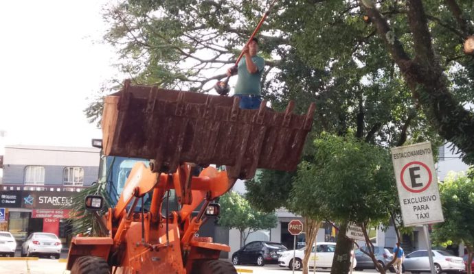 Secretaria de Obras realiza podas na Praça Getúlio Vargas e operação tapa-buracos